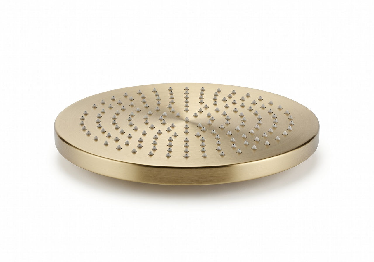 Aveline Rain Shower Head