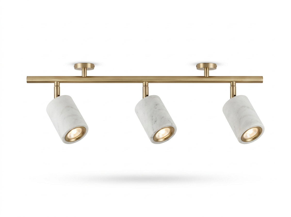 Aveline Track and Spot Light