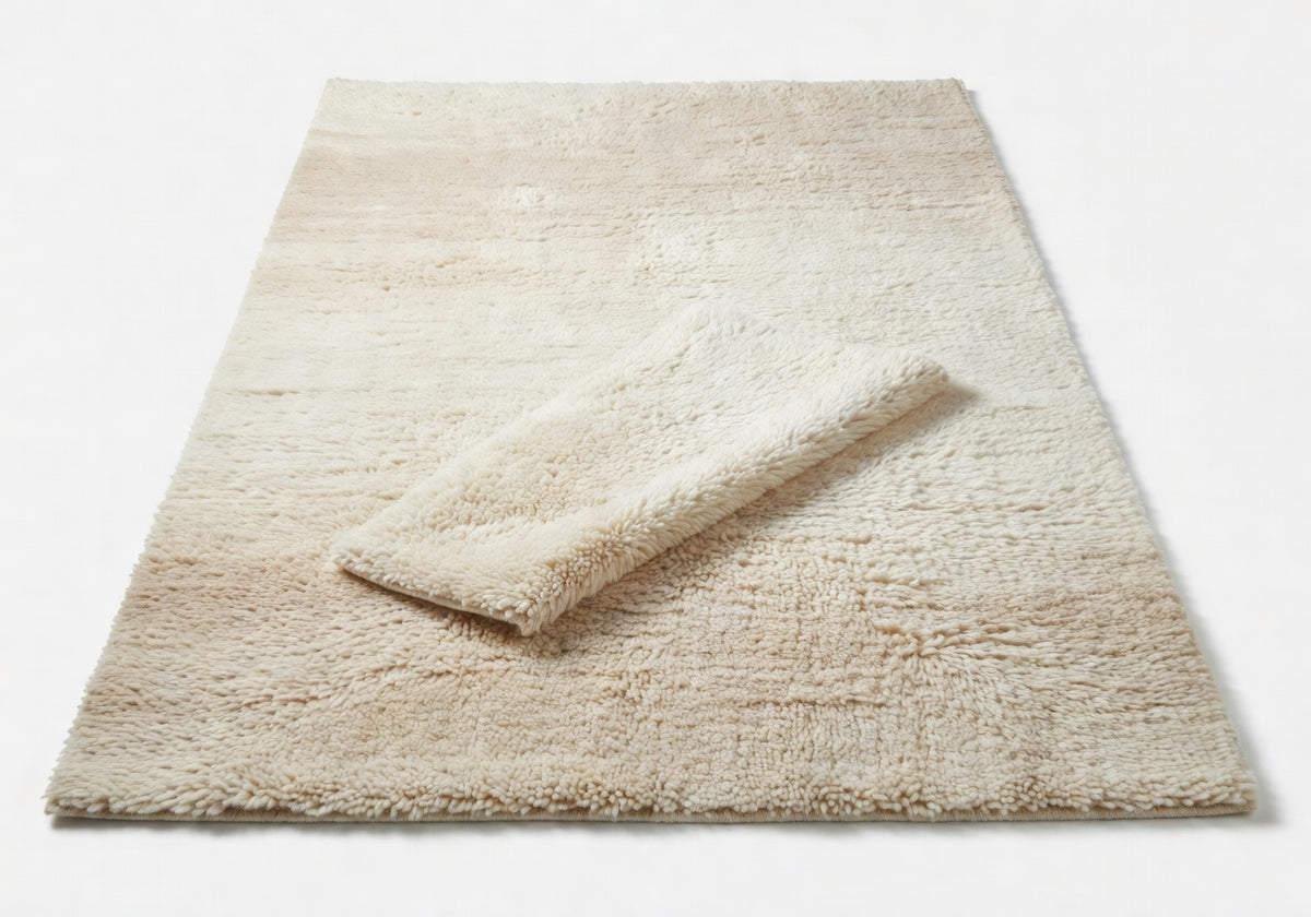 Liora Shag Rug