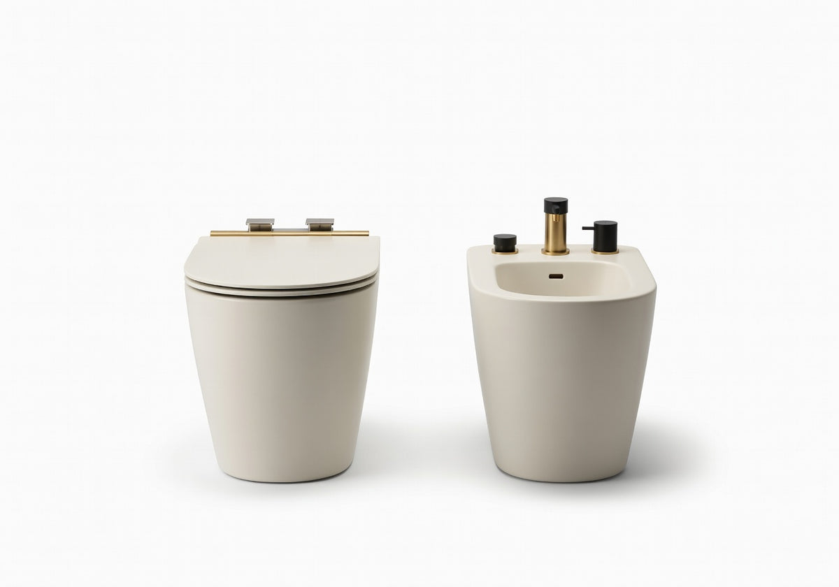 Solmere Dual Fixture Toilet and Bidet