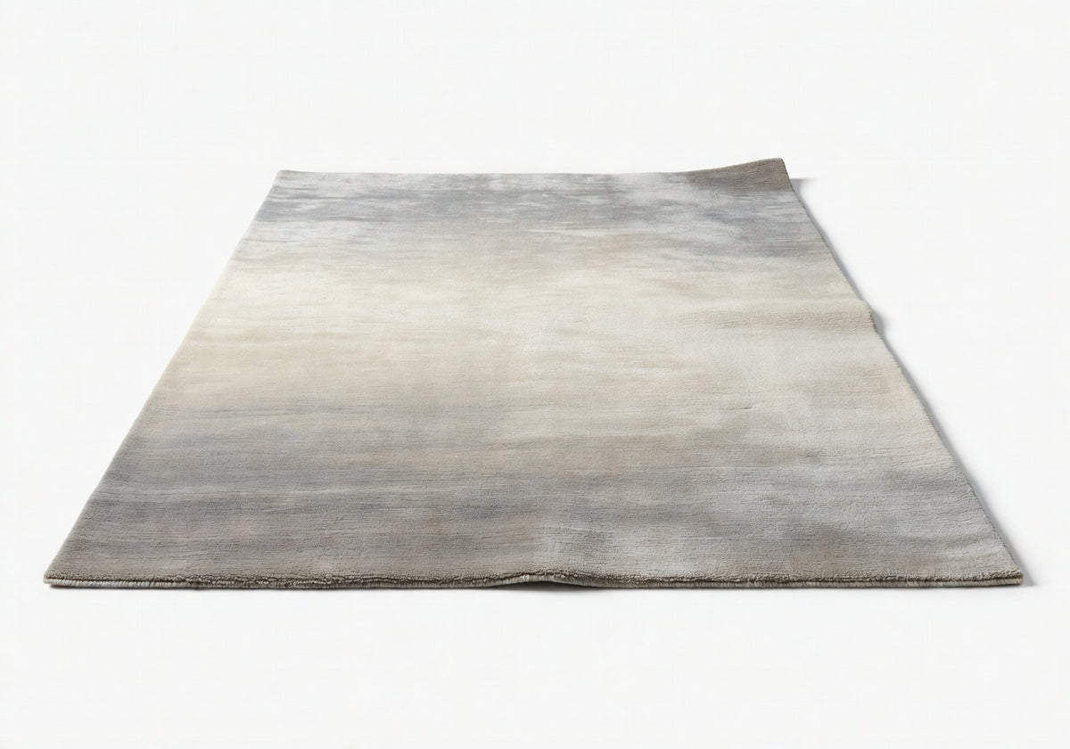 Sorin Dual Plane Rug