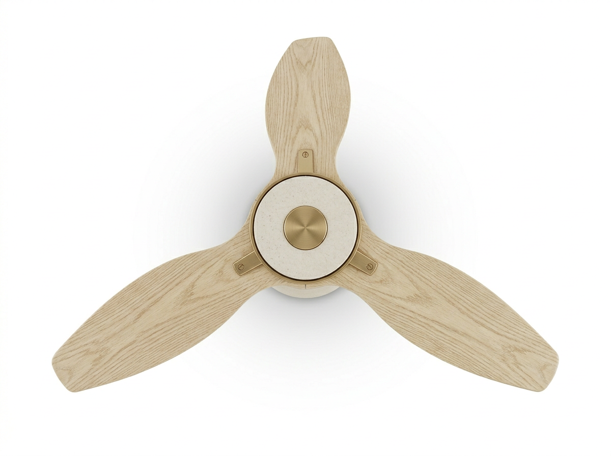 Vera Halo Fan Ceiling Fans with Light