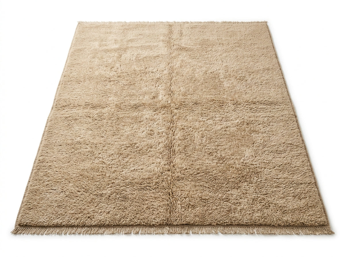 Lioren Plateau Rug