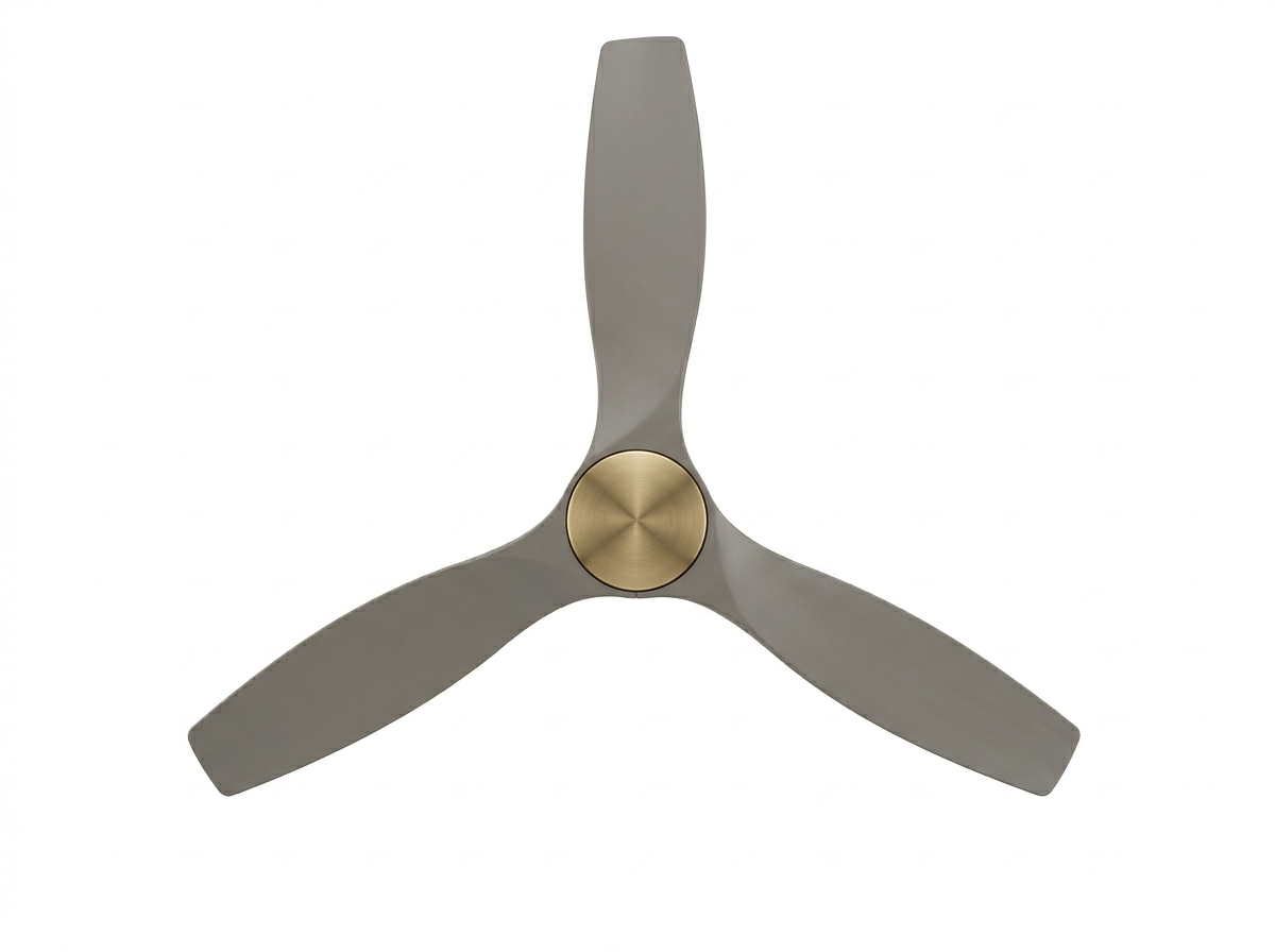 Luma Outdoor Glide Fan