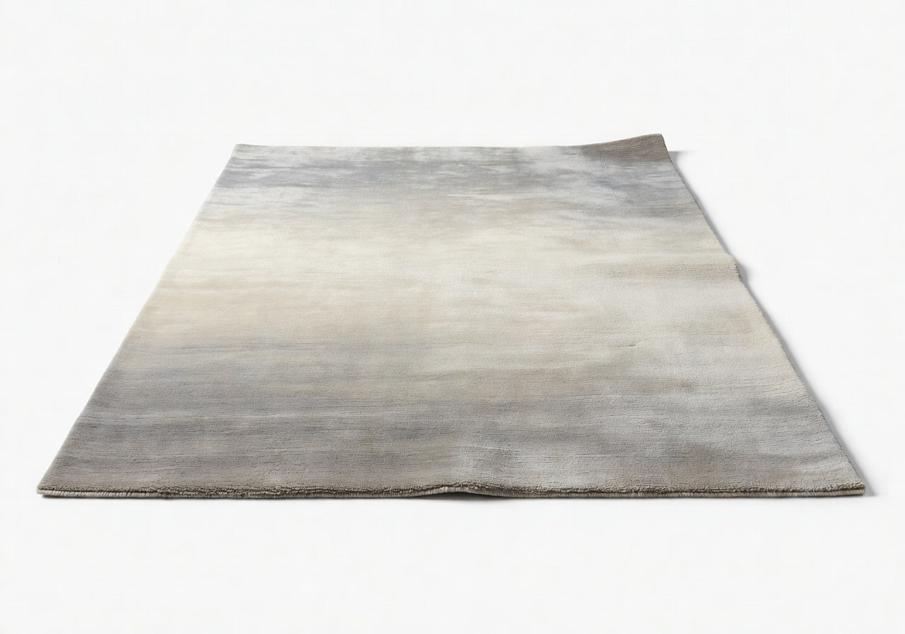 Sorin Dual Plane Rug